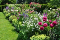Mixed Border